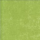 Spotted Quotation by Zen Chic #137 Pistachio Light Green...