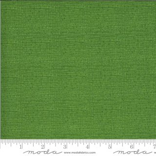 Thatched  #135 Sprout Basic Grün Solana Green Robin Pickens