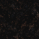 Speckled Black #61M by Rashida Coleman Hale Ruby Star Black Metallic
