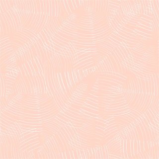 First Light Sono Graphic Lines Pencil Peach Cream  #16 by Alexa Marcella Abeeg Ruby Star Society