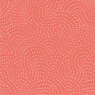 Twist Coral Basic by Dashwood Studio Peach