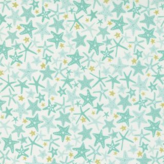 The Sea and Me Seafoam Youre A Star Blender Starfish Ocean by Stacy Iest Hsu