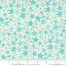 The Sea and Me Seafoam Youre A Star Blender Starfish Ocean by Stacy Iest Hsu