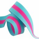 Tula Pink Webbing Gurtband Blue Aqua/Hot Pink 2 Yard x 1,5 inch Striped Neon