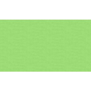 Linen Texture Pistachio G3 Green Grün Basic