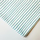 Rifle Paper Co. Bon Voyage Festive Stripe Streifen Blau Blue Hellblau Reststück 60cm