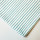 Rifle Paper Co. Bon Voyage Festive Stripe Streifen Blau Blue Hellblau Reststück 60cm