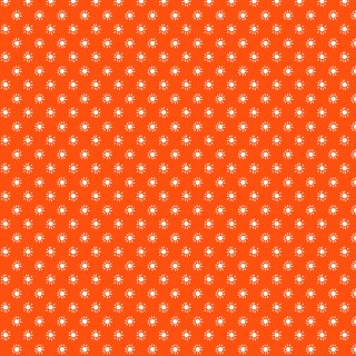 Basic Color Fun Orange 331