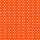 Basic Color Fun Orange 331